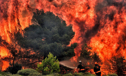 El Infoex ha intervenido en 31 incendios forestales en la última semana y pide “no bajar la guardia”