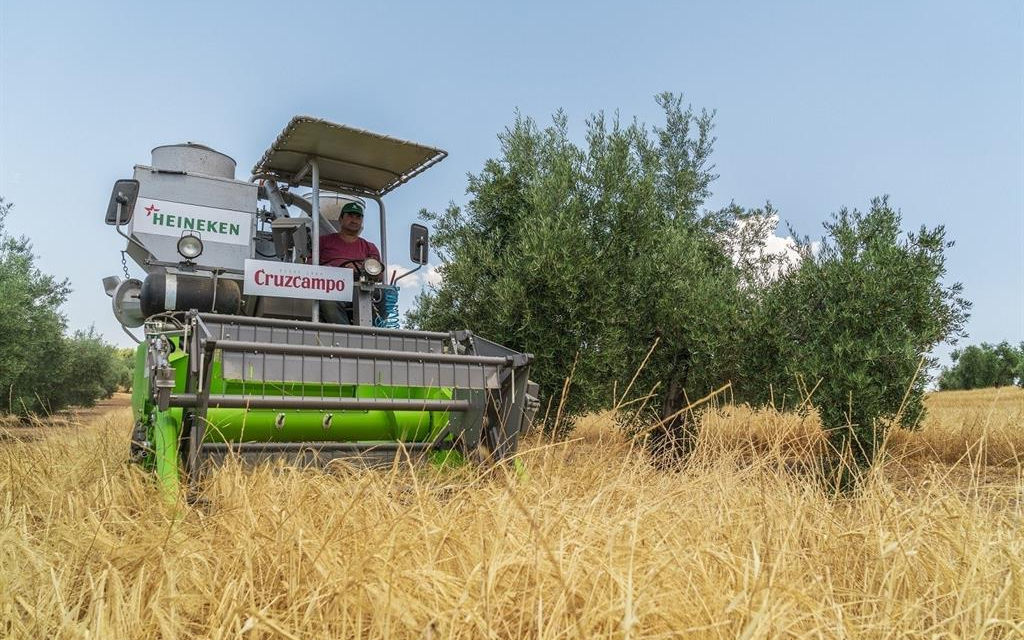 Agricultura abona en octubre más de 260 millones de euros a profesionales del campo