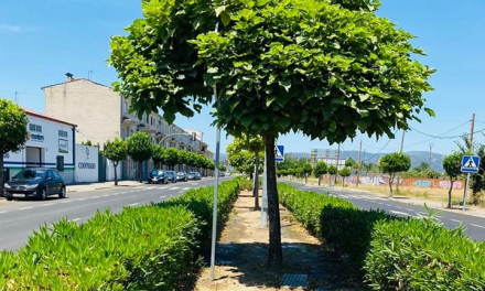 El Ayuntamiento de Moraleja desmiente el abandono de las zonas verdes municipales