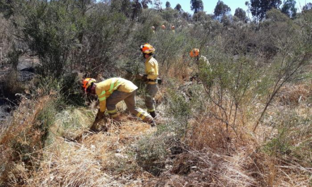 Los incendios forestales arrasan en Extremadura más de 170 hectáreas en la última semana