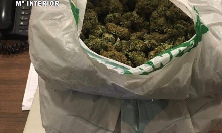 Dos detenidos en Navalmoral tras huir de la Guardia Civil y tirar una bolsa con cogollos de marihuana