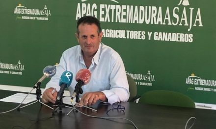 APAG Extremadura Asaja califica la próxima cosecha de aceitunas como «la peor del actual siglo»