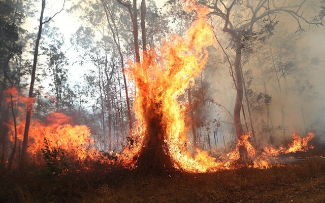 El Infoex ha intervenido en 16 incendios forestales que han arrasado 46 hectáreas en los últimos siete días