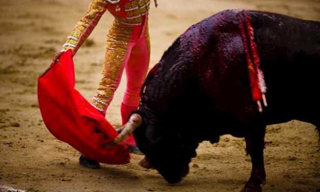 Ecologistas critica la apuesta del Ayuntamiento de Almendralejo por las corridas de toros