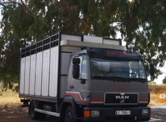 Un empresario de Moraleja se ofrece a trasladar gratis el ganado afectado por los incendios