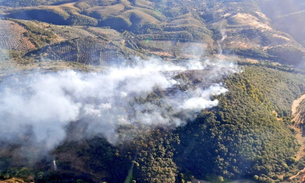 Estabilizado el incendio forestal que ha afectado a monte bajo y olivar en la comarca de Los Ibores