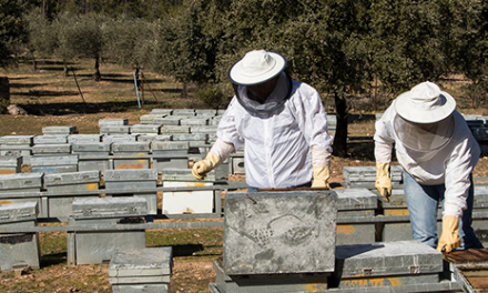Los apicultores extremeños se enfrentan a uno de su peores años por la varroa y la escasez de miel