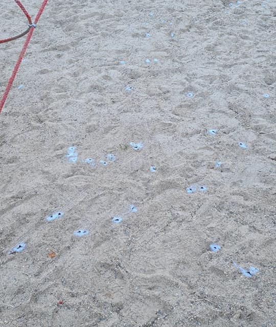 Moraleja sustituirá la arena del parque Dulce Chacón tras la presencia de avispas terreras