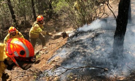 El incendio de Plasencia arrasa más de 560 hectáreas y el de Cañaveral afecta a 86