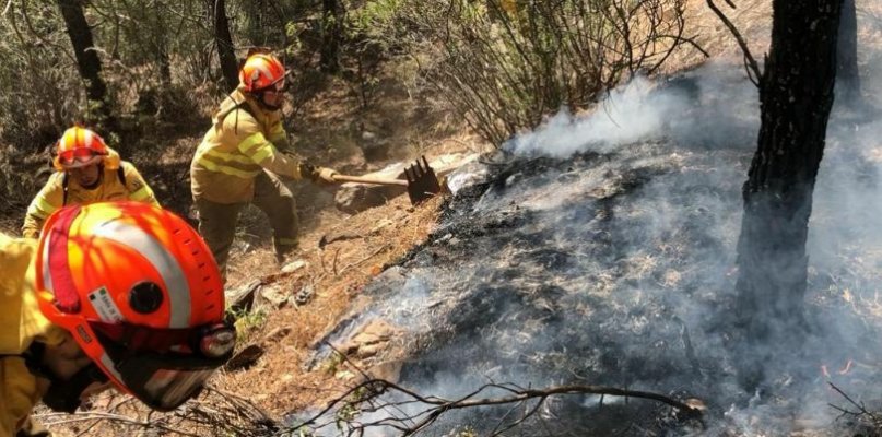 Un informe revela que la plantilla de bomberos forestales extremeña está envejecida