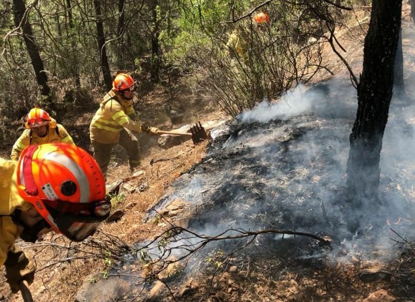 El incendio de Plasencia arrasa más de 560 hectáreas y el de Cañaveral afecta a 86