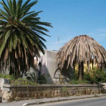 Extremadura declara la existencia del picudo rojo de las palmeras en toda la comunidad