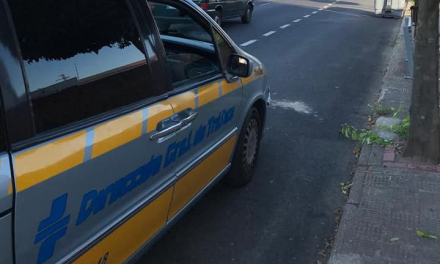 La Policía de Moraleja intercepta un coche que circulaba en pleno casco urbano a más de 80 kilómetros