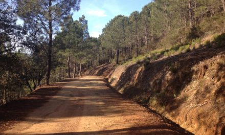 La Junta concluye el acondicionamiento del camino rural de Ruecas en Don Benito