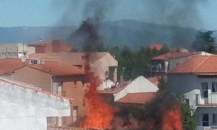 La rápida actuación de los bomberos evitó que el fuego accediese a la casa de la calle Santa Teresa de Jesús en Moraleja