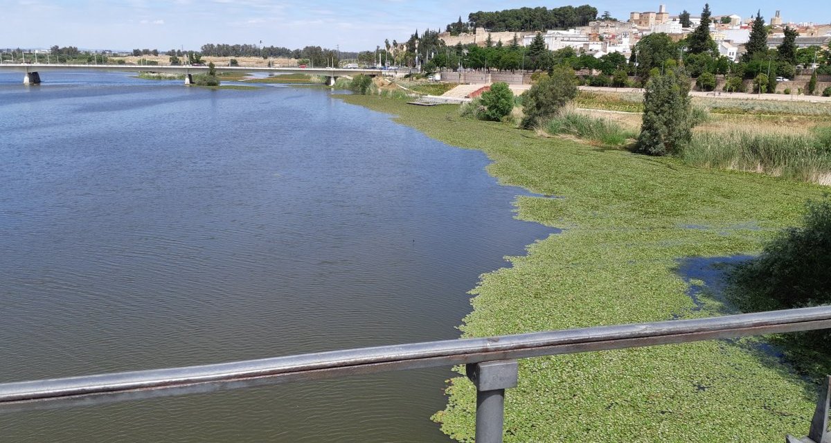 Las ONG ambientales se niegan rotundamente al dragado del río Guadiana