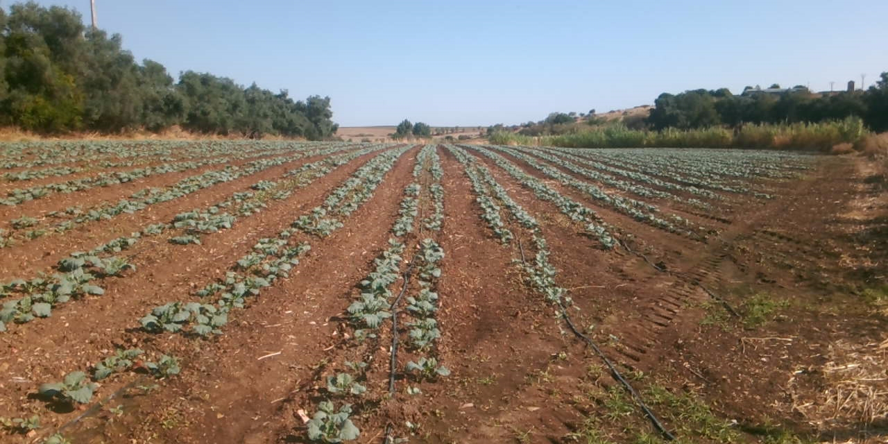Extremadura difunde las resoluciones de solicitudes de explotaciones agrarias prioritarias