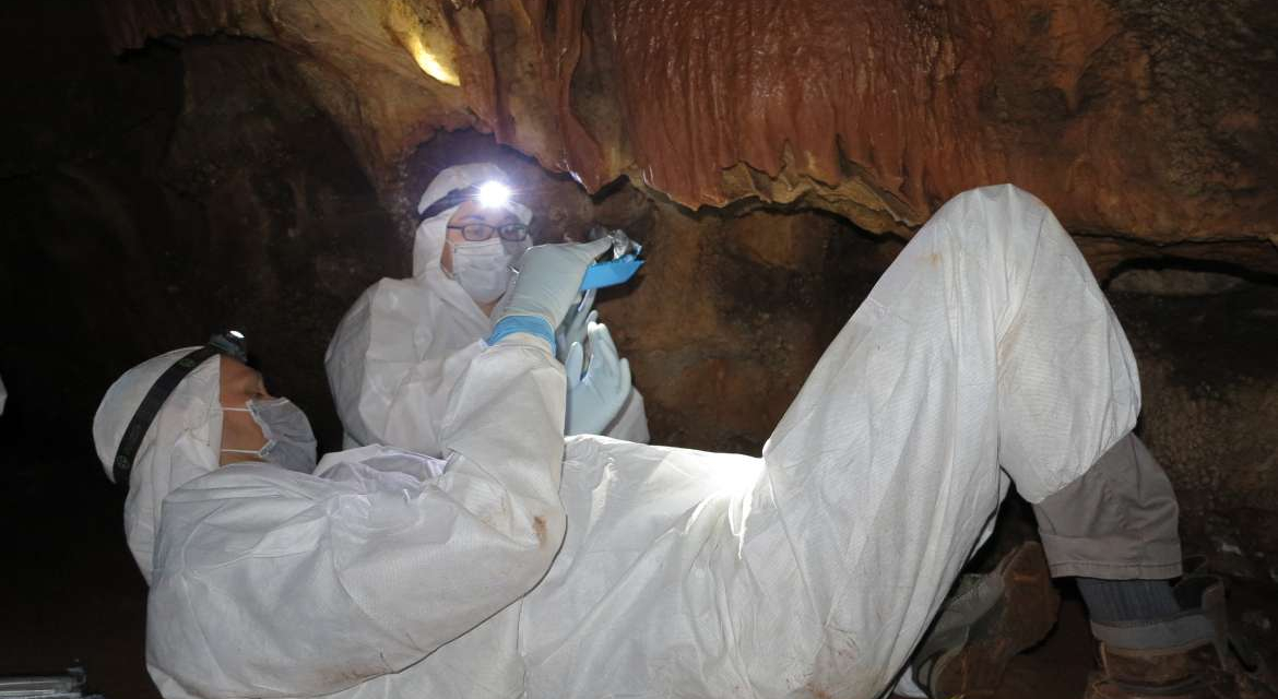 Buscan trazas de ADN de los humanos que realizaron las manos pintadas en la Cueva de Maltravieso