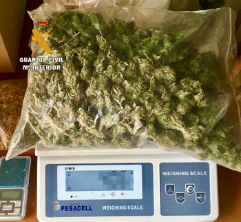 Detenido un vecino de Tiétar por tener más de 22 kilogramos de marihuana en su domicilio