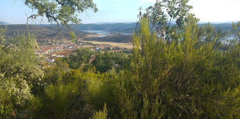Mejorarán montes en Pinofranqueado, Alía, Don Benito, Oliva, Villar del Pedroso y Zalamea