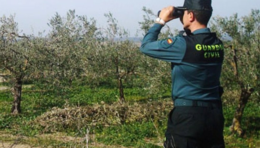 Sorprendidos tres vecinos de Puebla de Obando con 7 aves que acababan de abatir