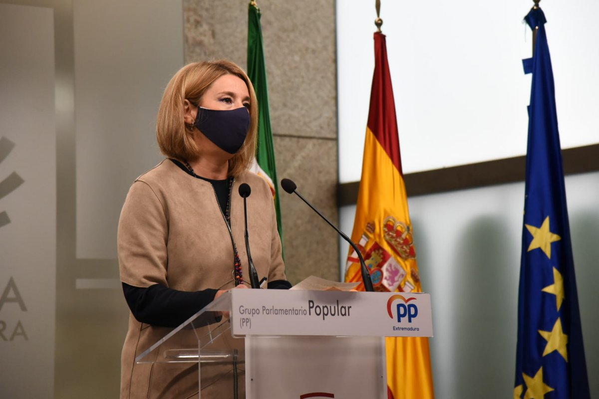 El PP critica que Vara haya comparecido en la Asamblea una vez tras 9 meses de pandemia