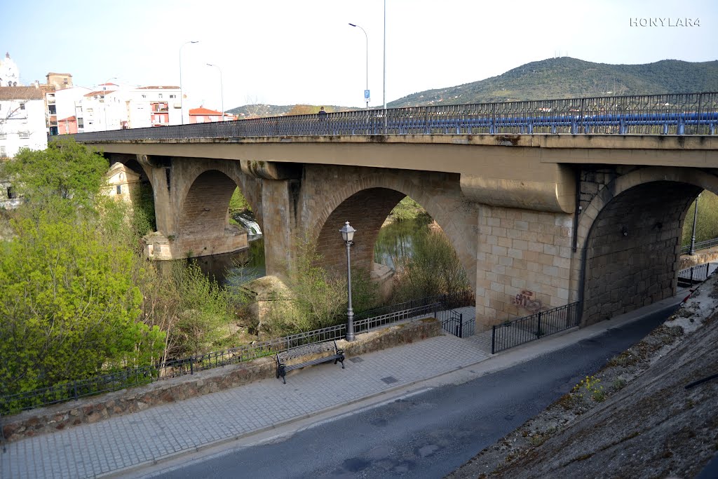 Sale a licitación por un importe de 558.427 euros la recuperación integral del puente Trujillo de Plasencia