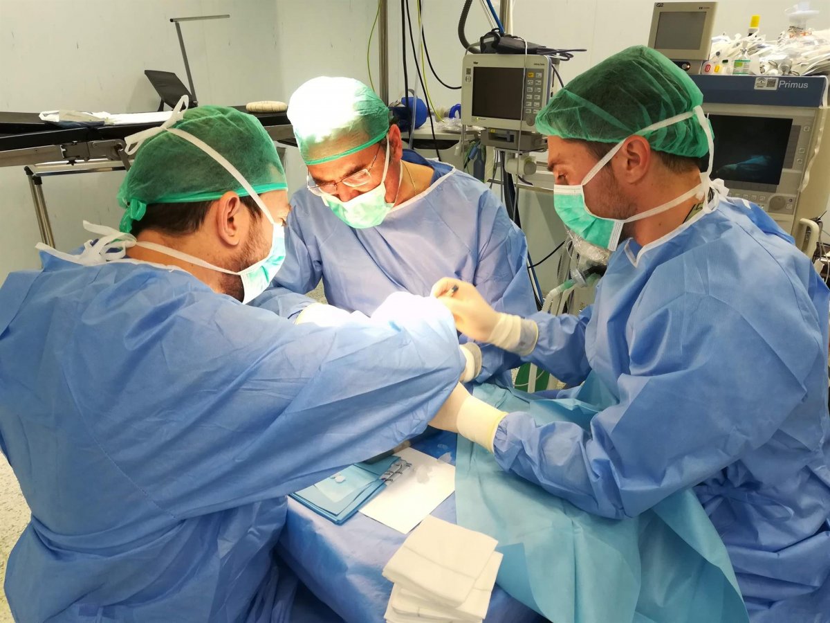 Extremadura está alcanzando los datos de donación y trasplantes de órganos registrados antes de la pandemia