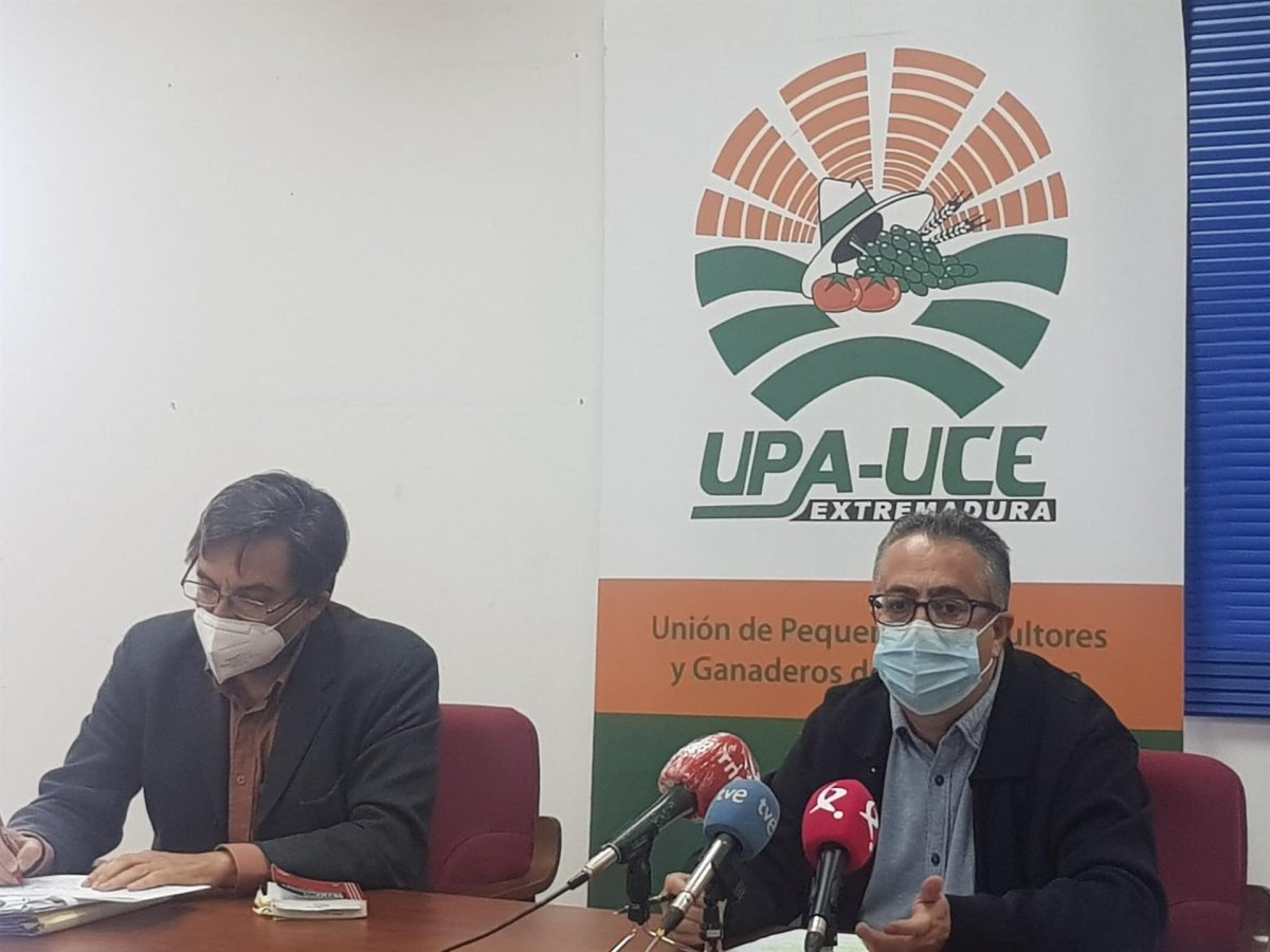 UPA-UCE pide a la Junta que clarifique las condiciones de trabajo en el campo