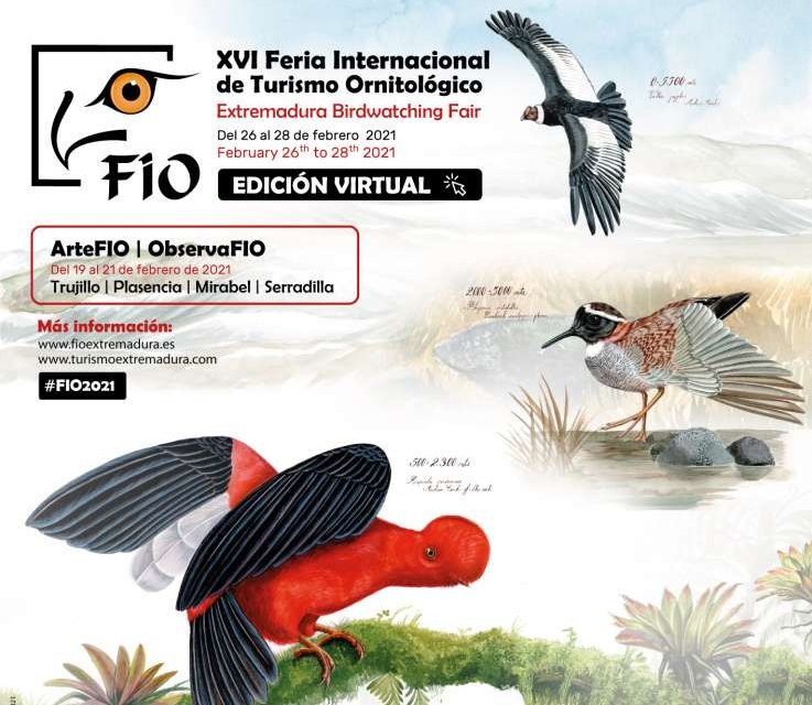 La pandemia obliga a cancelar el formato habitual de la Feria Internacional de Turismo Ornitológico