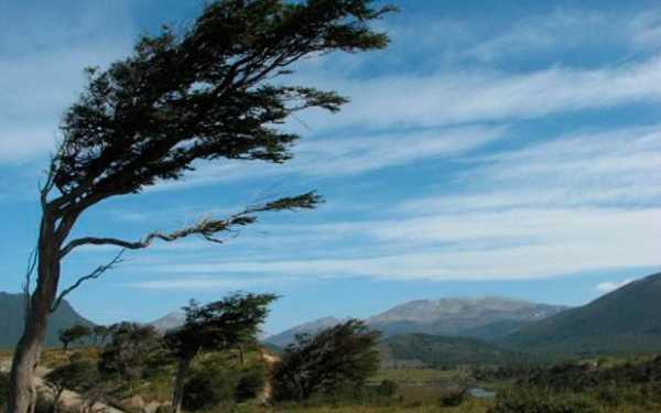 Alerta naranja por fuertes vientos en el norte de Cáceres, Villuercas y Montánchez