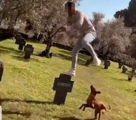 Detenido el joven que llevó a su perro a defecar al cementerio alemán de Yuste y saltó sobre las tumbas