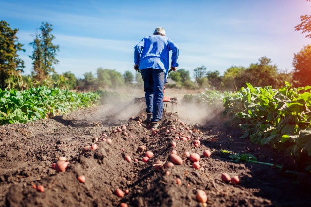 La Eurocámara aprobará el martes la reforma de la Política Agrícola Común