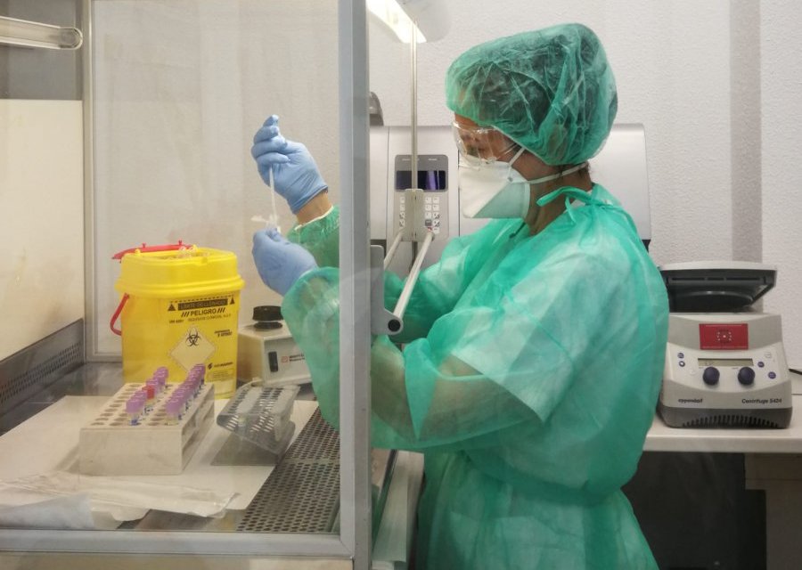 Sanidad confirma un caso de gripe aviar localizado en una oca en Extremadura