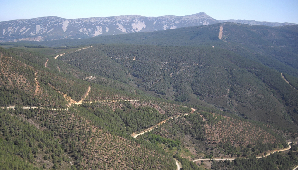Más de dos millones de euros para mantener ecosistemas en montes de la provincia de Badajoz