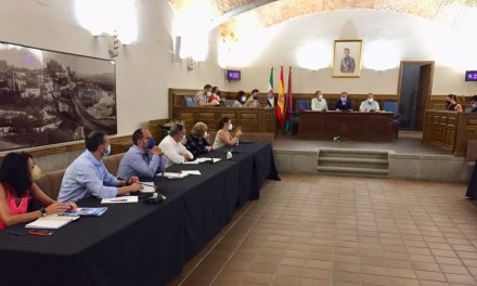 El Ayuntamiento de Plasencia aboga por el «equilibrio entre la salud y la economía de la ciudad»