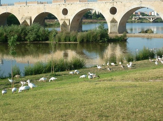 Badajoz iniciará antes de final de año la mejora de acerado del paseo fluvial