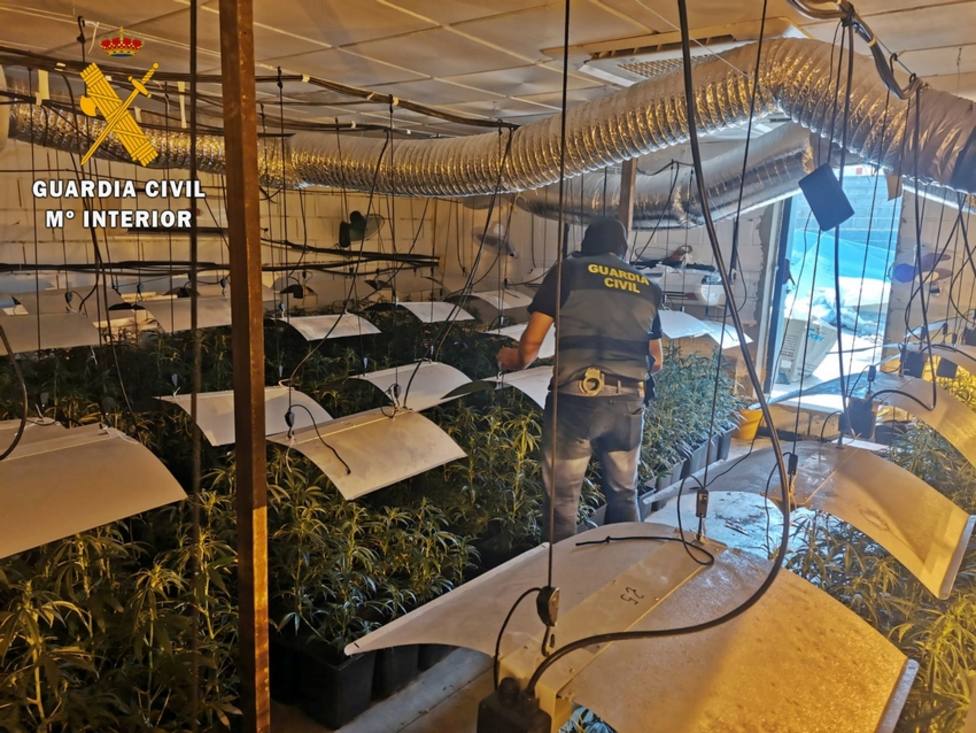 La Guardia Civil desmantela una plantación de marihuana oculta en un gimnasio de Mérida