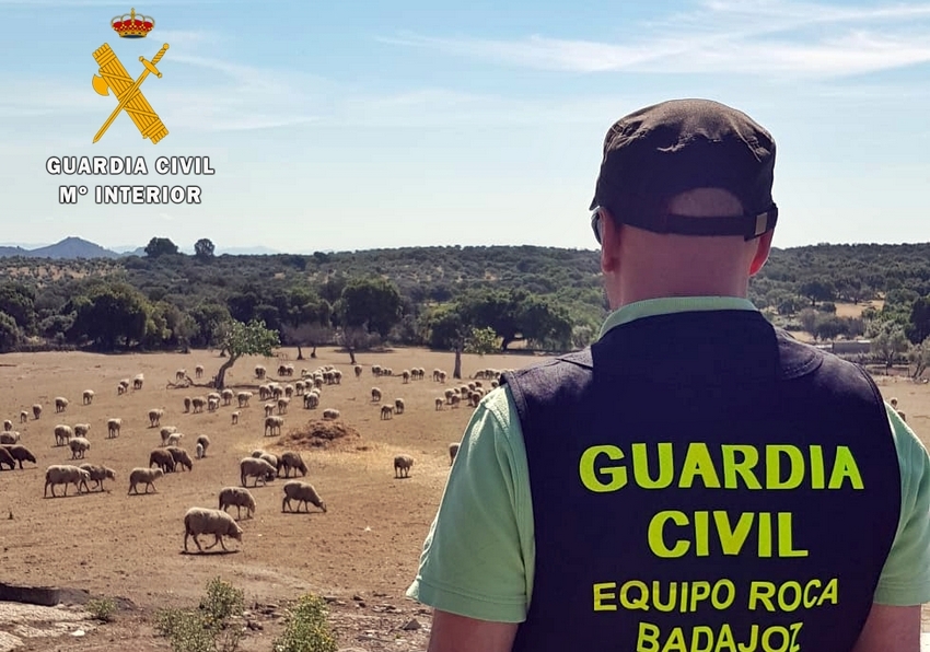 Cinco detenidos por perpetrar más de 60 robos en fincas de la provincia de Badajoz