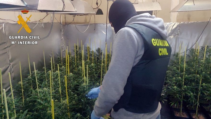 La Guardia Civil desmantela una plantación de marihuana oculta dentro de una vivienda