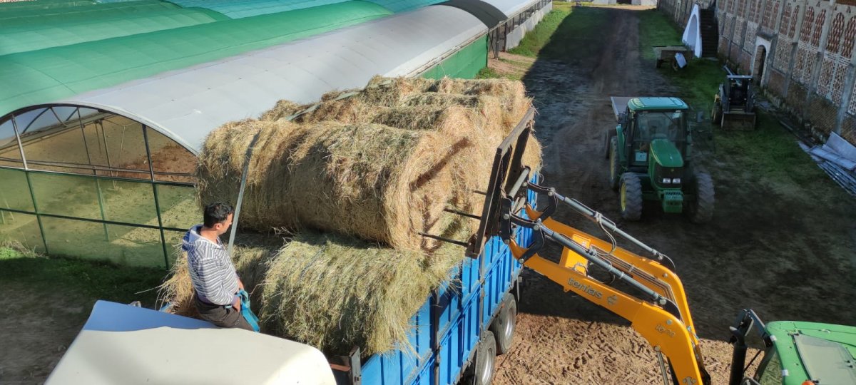 Donan 3 camiones de alpacas a los ganaderos afectados por el incendio provocado de Aceituna