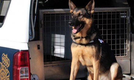 La unidad canina de la Policía Nacional se incorpora a la búsqueda de Pablo Sierra