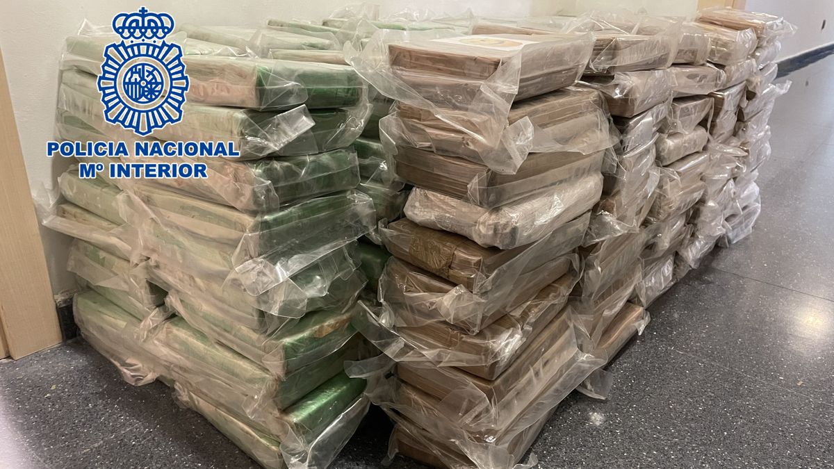 Intervienen 250 kilos de cocaína de gran pureza en Mérida, el mayor alijo de droga en la región