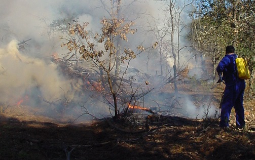 La Junta pide extremar precauciones en las quemas de restos vegetales ante la sequía que atraviesa Extremadura