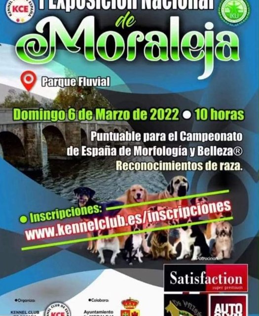 Moraleja acogerá la I Exposición Nacional de Perros de Raza