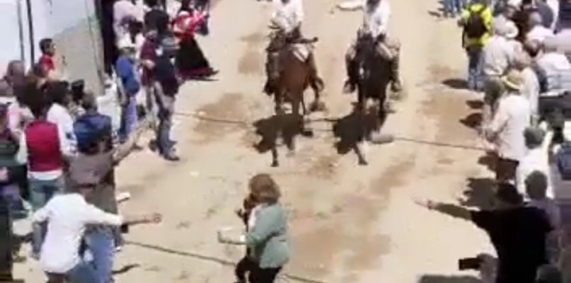 Cacereños por Cáceres pide mayor seguridad para evitar accidentes en las carreras de caballos de Arroyo de la Luz