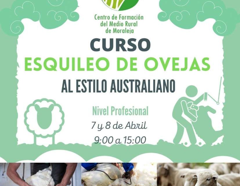 El Centro de Formación del Medio Rural de Moraleja acoge un curso de esquileo de ovejas al estilo australiano