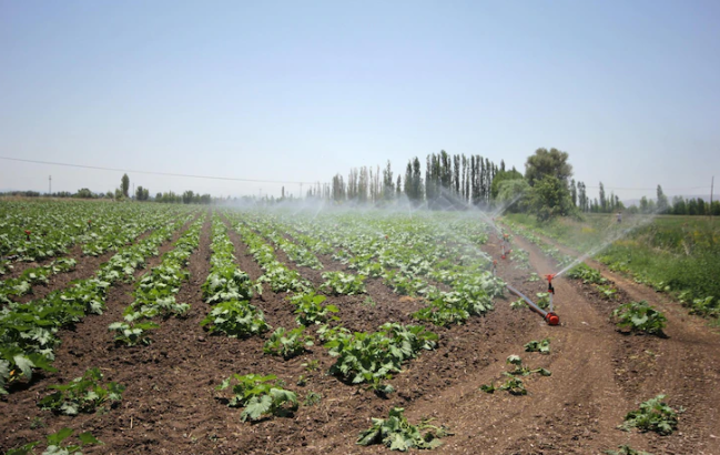 La Junta reclama a Bruselas ayudas directas para los regantes afectados por la sequía