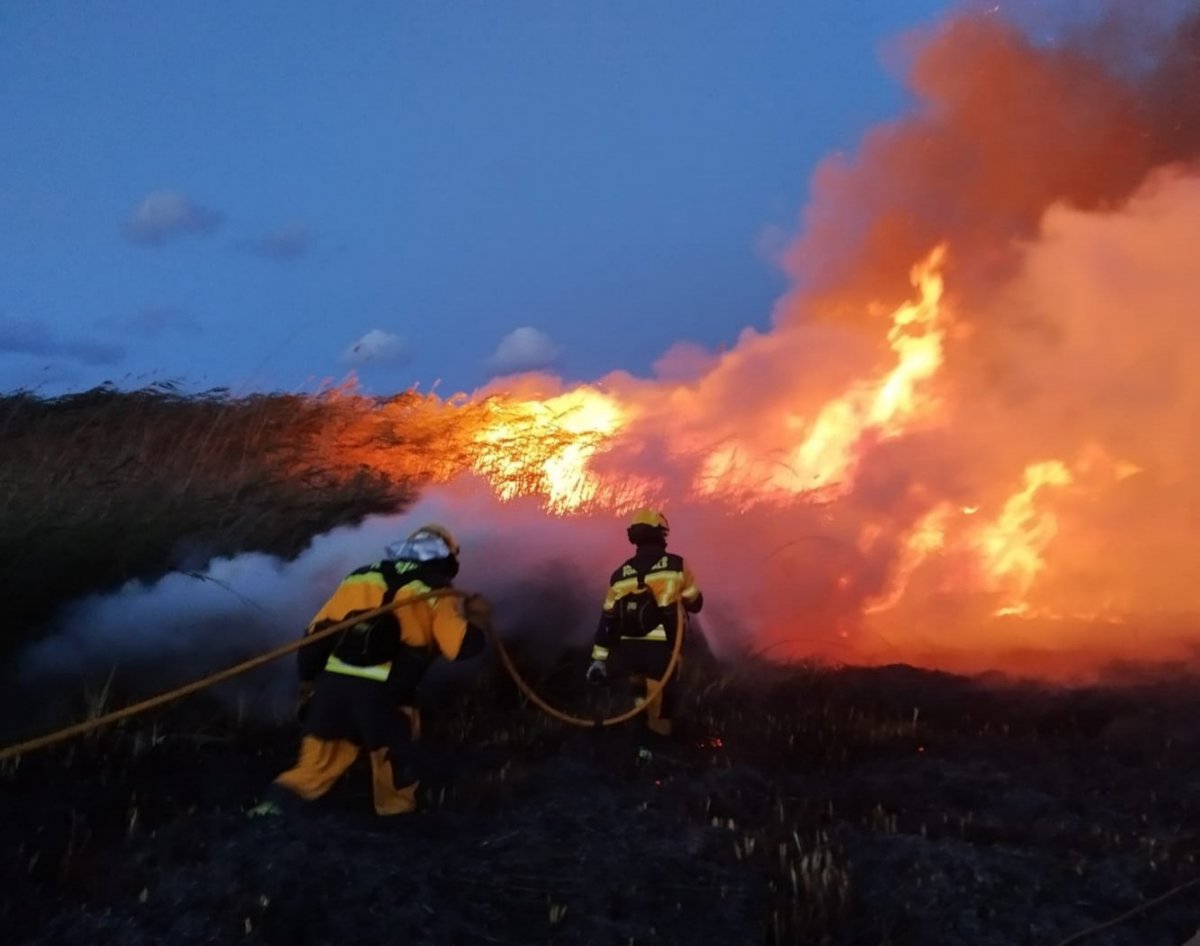 El incendio forestal de Piornal sigue activo y arrasa ya 20 hectáreas