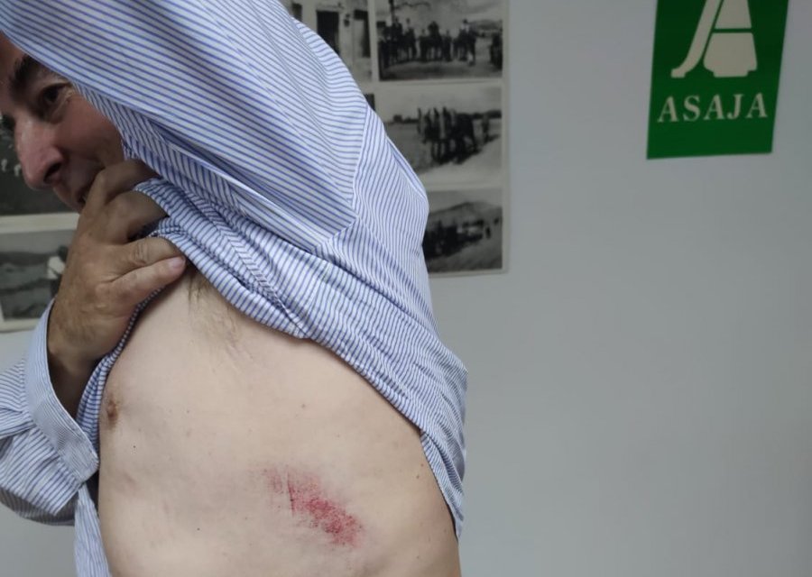 El presidente de Asaja resulta herido en las protestas de los ganaderos en el pleno de Cáceres
